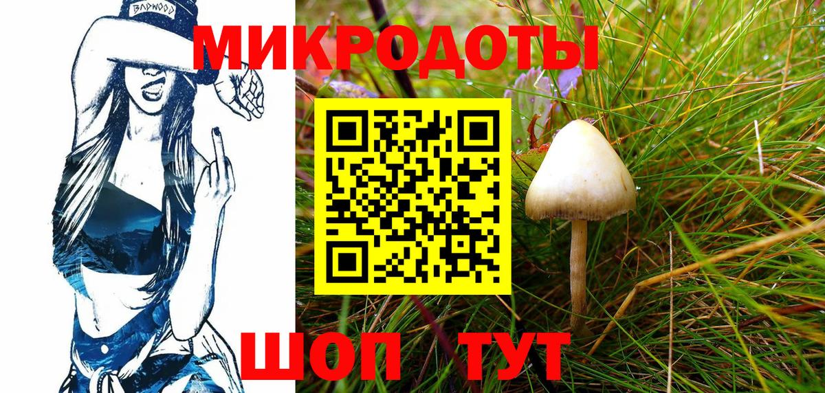 Псилоцибиновые грибы MAGIC MUSHROOMS  Вход с VPN  Псилоцибиновые грибы Psilocybe  Азнакаево 